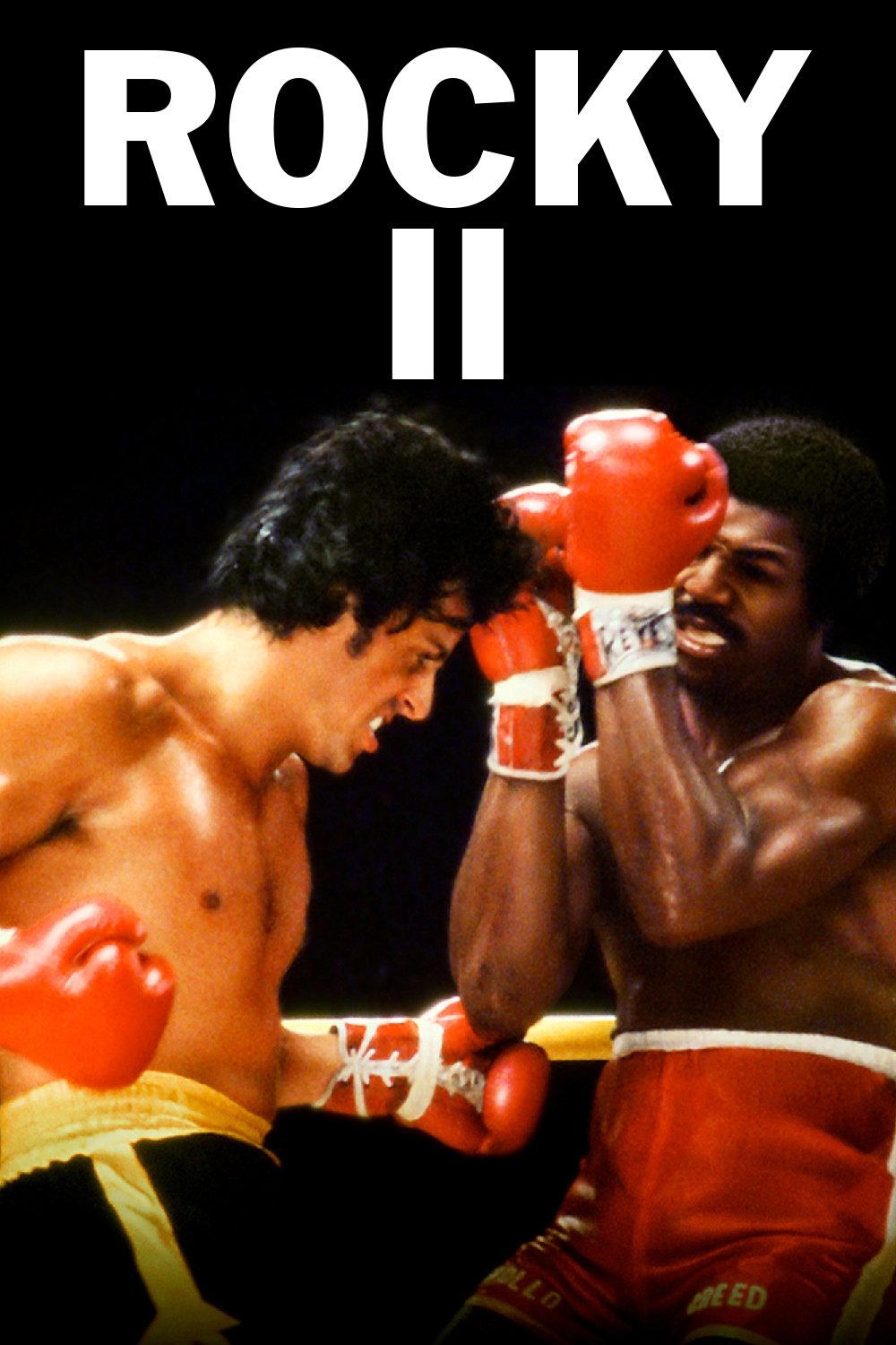 Rocky II (1979) [183538] (A1737669641) [[Movies]] --Plex--